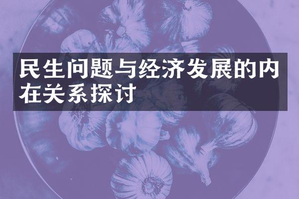 民生问题与经济发展的内在关系探讨