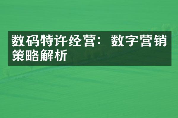 数码特许经营：数字营销策略解析