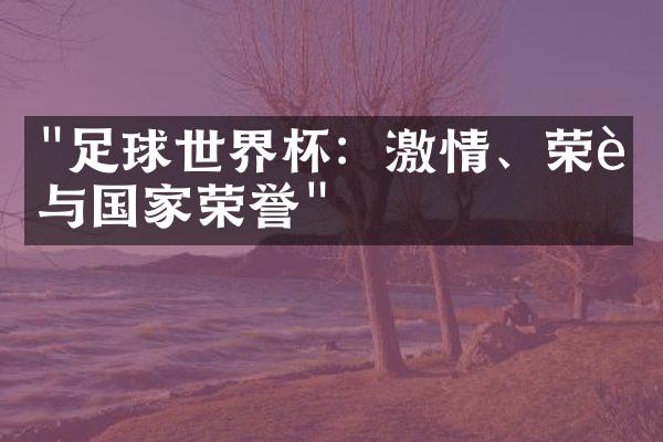 "足球世界杯：激情、荣耀与国家荣誉"