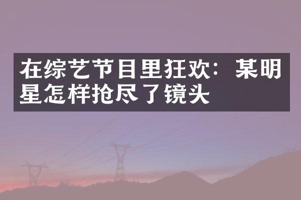 在综艺节目里狂欢：某明星怎样抢尽了镜头