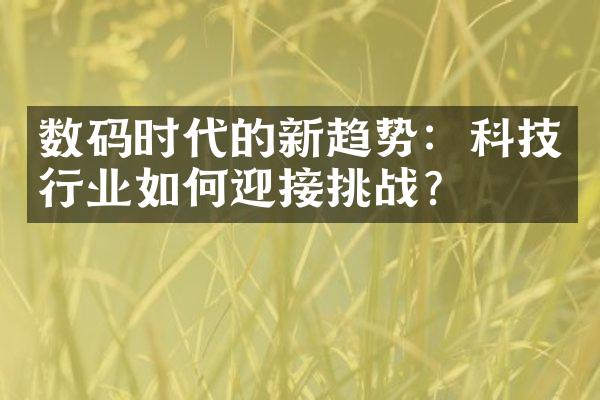 数码时代的新趋势：科技行业如何迎接挑战？