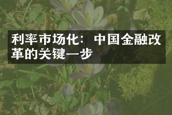 利率市场化：中国金融改革的关键一步