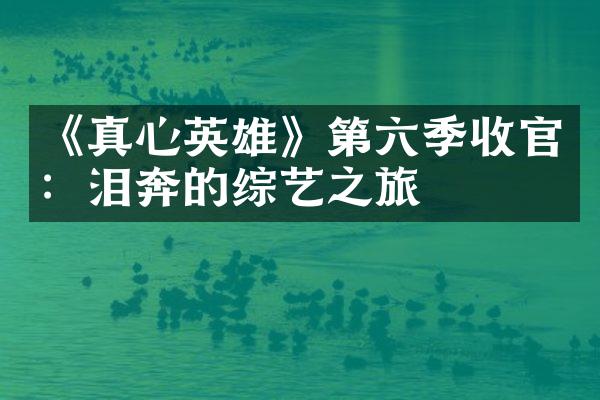 《真心英雄》第六季收官：泪奔的综艺之旅