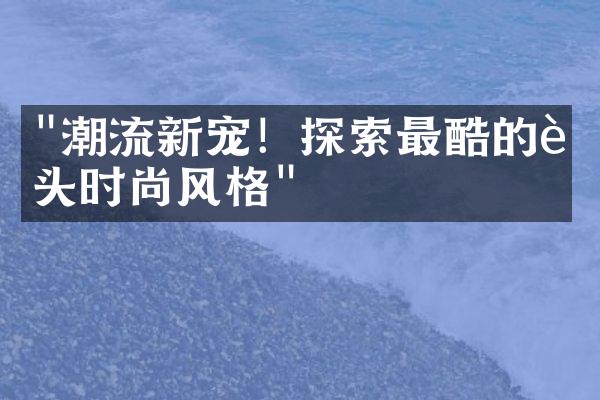 "潮流新宠！探索最酷的街头时尚风格"