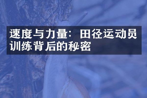 速度与力量：田径运动员训练背后的秘密