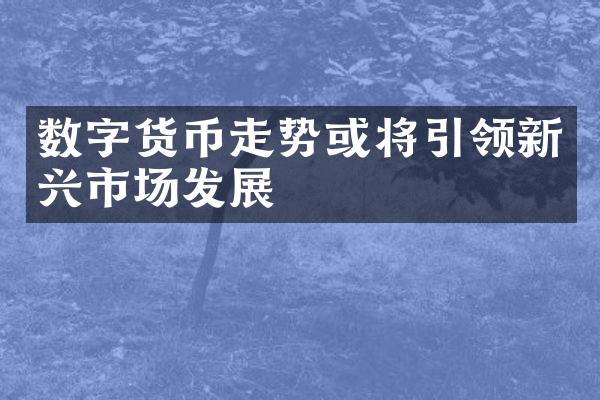 数字货币走势或将引领新兴市场发展