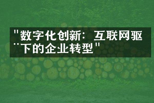 "数字化创新：互联网驱动下的企业转型"