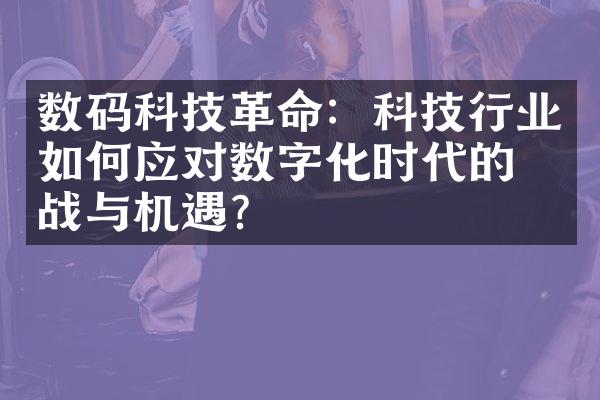 数码科技革命：科技行业如何应对数字化时代的挑战与机遇？