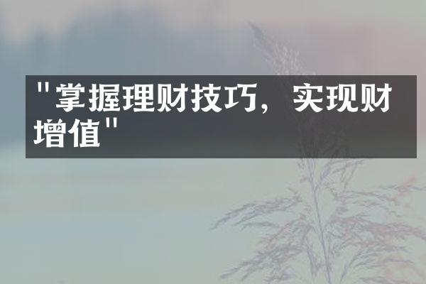 "掌握理财技巧，实现财富增值"