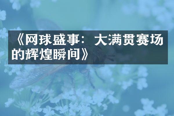 《网球盛事：大满贯赛场的辉煌瞬间》