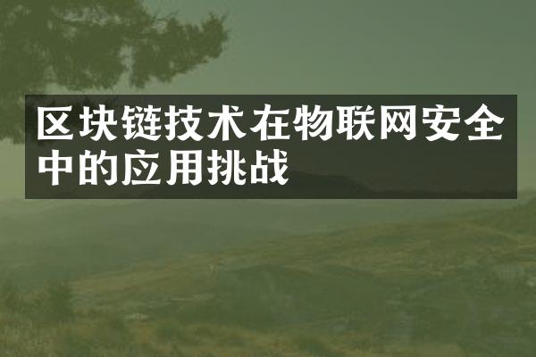 区块链技术在物联网安全中的应用挑战