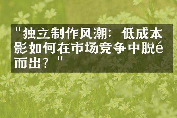 "独立制作风潮：低成本电影如何在市场竞争中脱颖而出？"