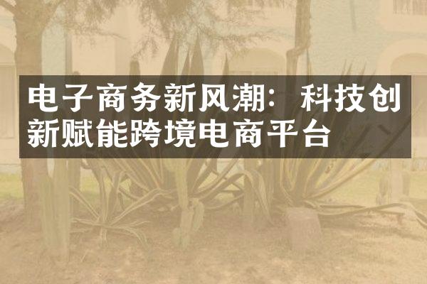 电子商务新风潮：科技创新赋能跨境电商平台