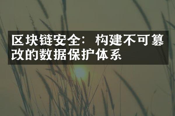 区块链安全：构建不可篡改的数据保护体系