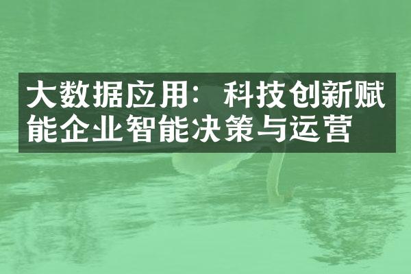 大数据应用：科技创新赋能企业智能决策与运营