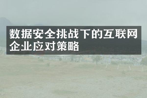 数据安全挑战下的互联网企业应对策略