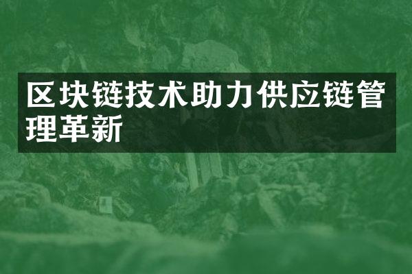 区块链技术助力供应链管理革新