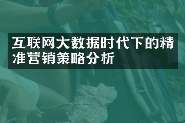 互联网大数据时代下的精准营销策略分析