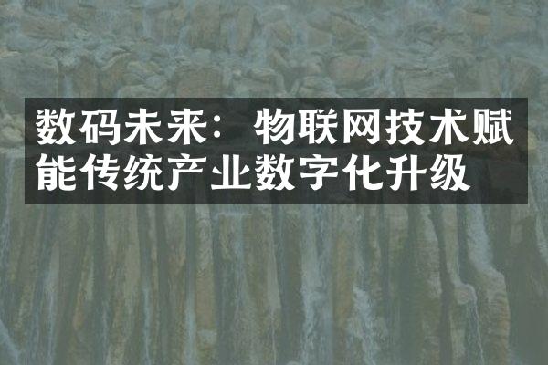 数码未来：物联网技术赋能传统产业数字化升级