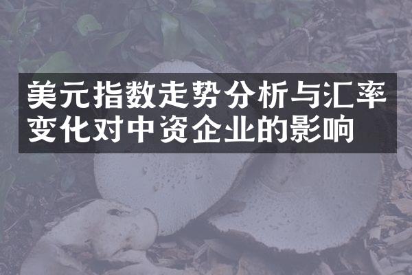 美元指数走势分析与汇率变化对中资企业的影响