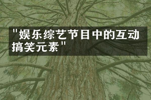 "娱乐综艺节目中的互动与搞笑元素"