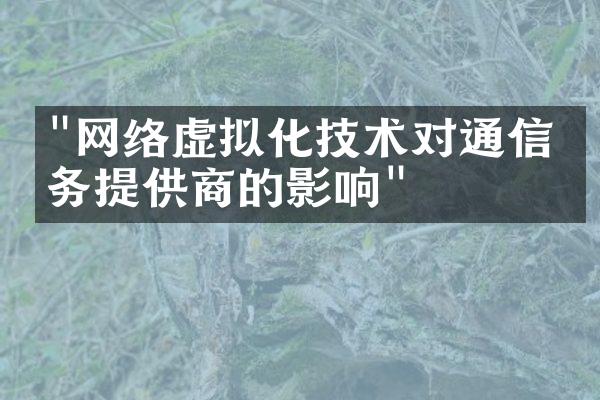 "网络虚拟化技术对通信服务提供商的影响"