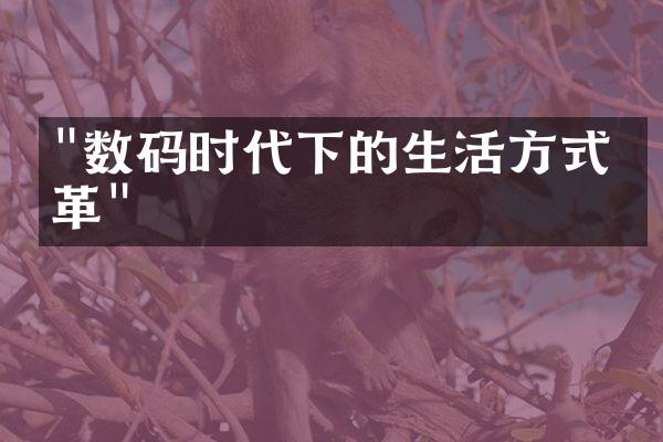 "数码时代下的生活方式变革"