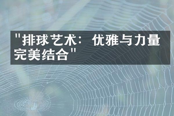 "排球艺术：优雅与力量的完美结合"