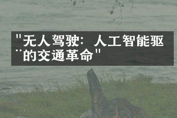 "无人驾驶：人工智能驱动的交通革命"