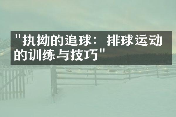 "执拗的追球：排球运动员的训练与技巧"