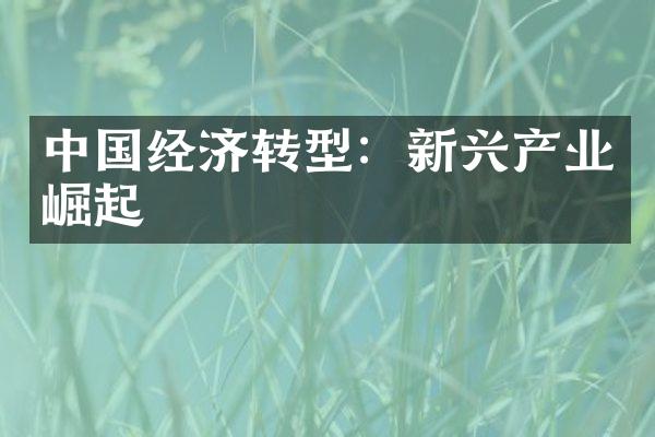 中国经济转型：新兴产业崛起