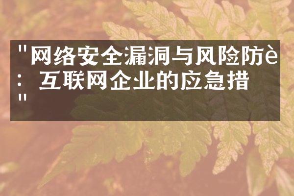 "网络安全漏洞与风险防范：互联网企业的应急措施"