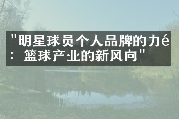 "明星球员个人品牌的力量：篮球产业的新风向"