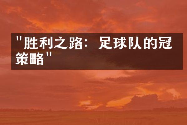 "胜利之路：足球队的冠军策略"