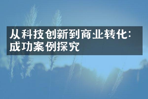 从科技创新到商业转化：成功案例探究