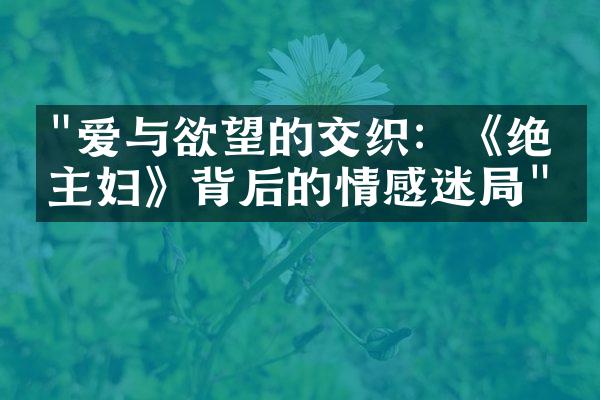 "爱与欲望的交织：《绝望主妇》背后的情感迷局"