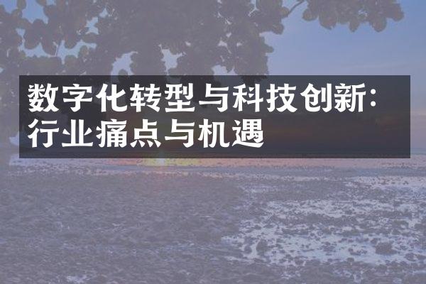 数字化转型与科技创新：行业痛点与机遇