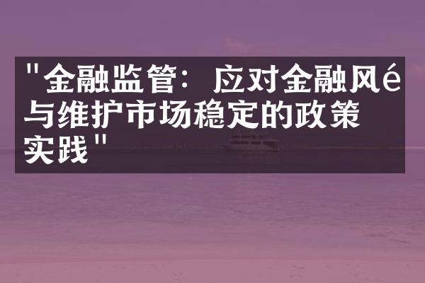 "金融监管：应对金融风险与维护市场稳定的政策与实践"