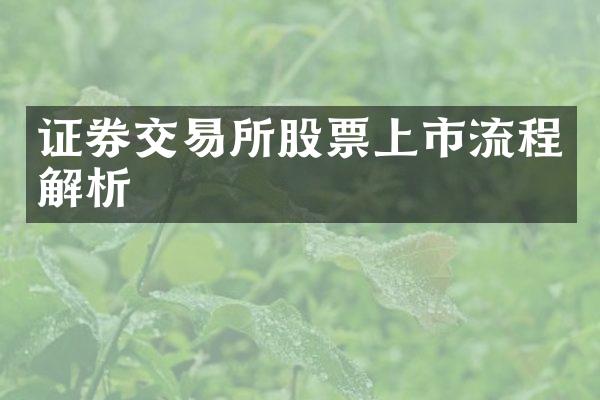 证券交易所股票上市流程解析