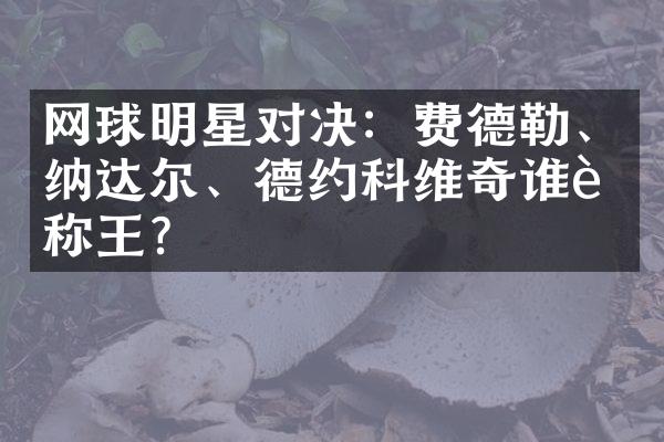 网球明星对决：费德勒、纳达尔、德约科维奇谁能称王？