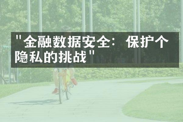 "金融数据安全：保护个人隐私的挑战"