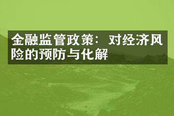 金融监管政策：对经济风险的预防与化解