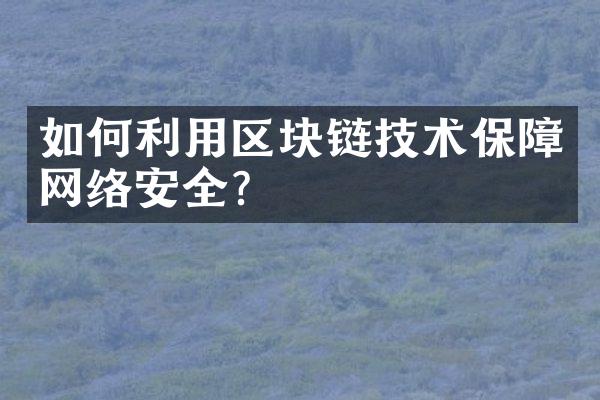 如何利用区块链技术保障网络安全？