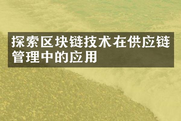 探索区块链技术在供应链管理中的应用