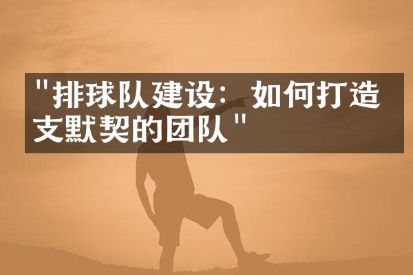 "排球队建设：如何打造一支默契的团队"