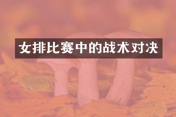 女排比赛中的战术对决