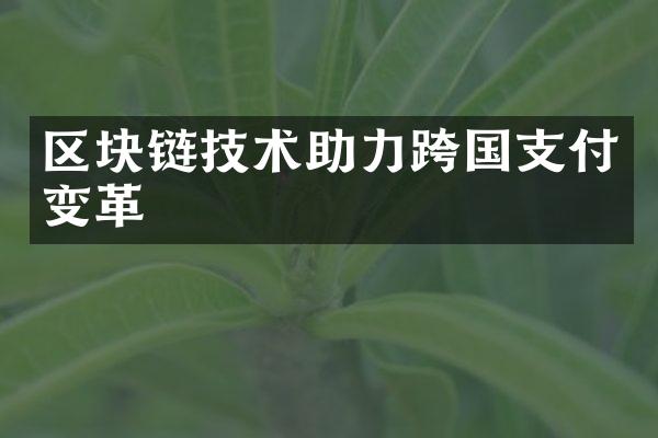 区块链技术助力跨国支付变革