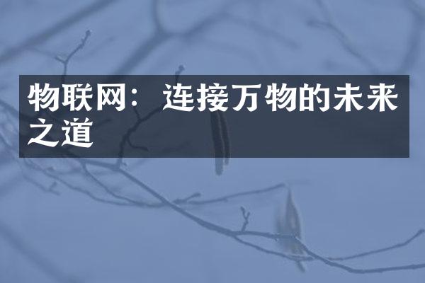 物联网：连接万物的未来之道