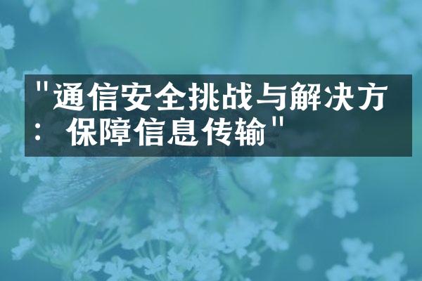 "通信安全挑战与解决方案：保障信息传输"