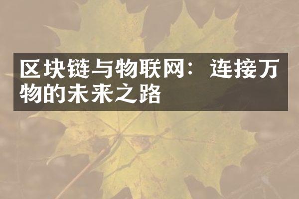 区块链与物联网：连接万物的未来之路